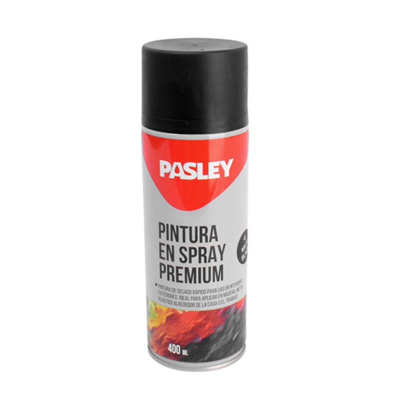 Pintura 400 ml (G. W. 330g) Pasley