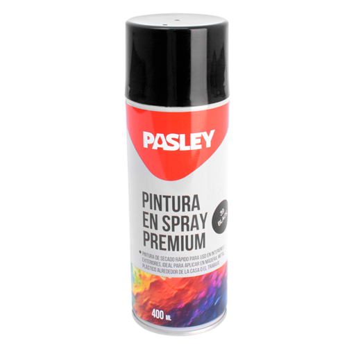 Pintura 400 ml (G. W. 330g) Pasley