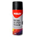 Pintura 400 ml (G. W. 330g) Pasley